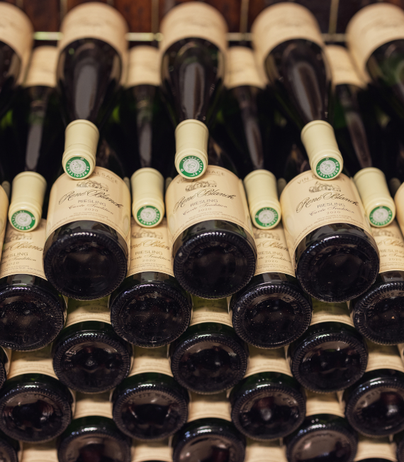 vin blanc d'alsace : gewurztraminer, grands crus, riesling, vendanges tardives, crémant à Colmar et Mittelwihr