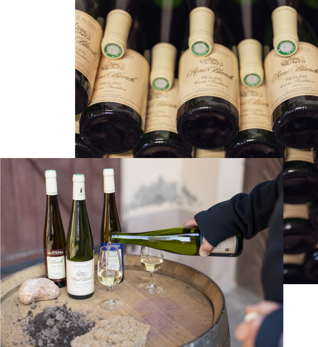 Vins rené Blanck - vin d'alsace blanc : gewurztraminer, grands crus, riesling, vendanges tardives